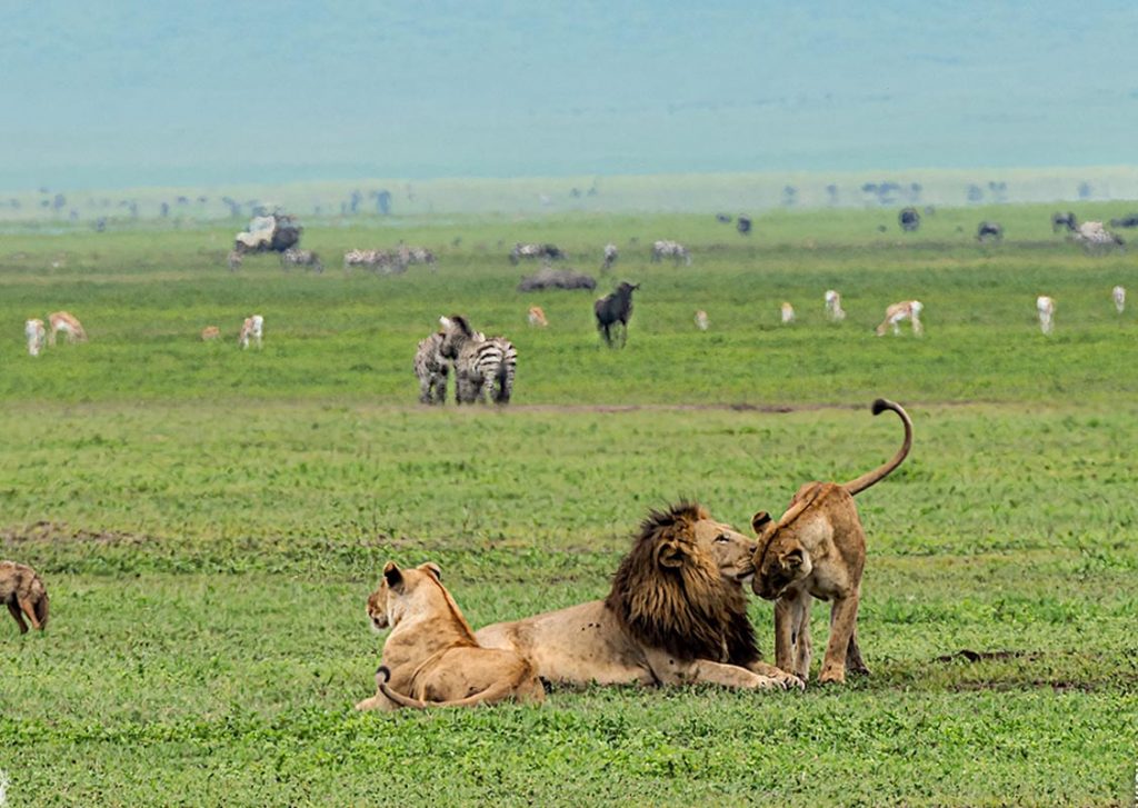 Ngorongoro Crater