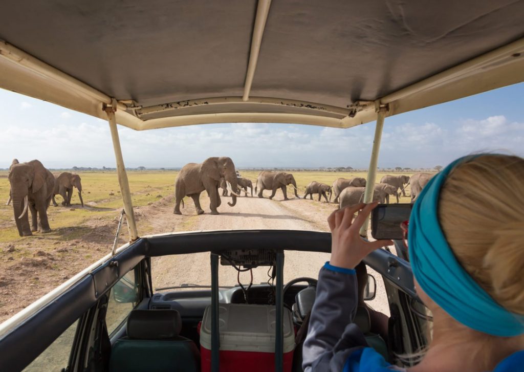 Discovery Tanzania